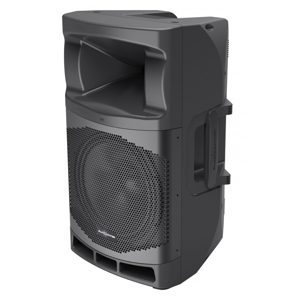 Audiocenter MA12 активная акустическая система в Кингисеппе