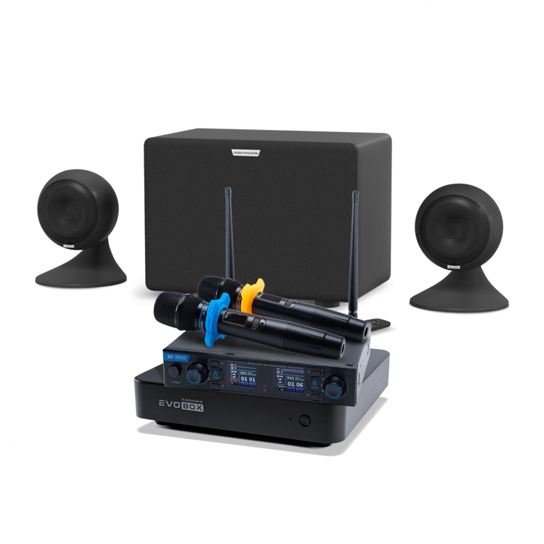 караоке-комплект EVOBOX + EvoSound Sphere 2.1 в Кингисеппе