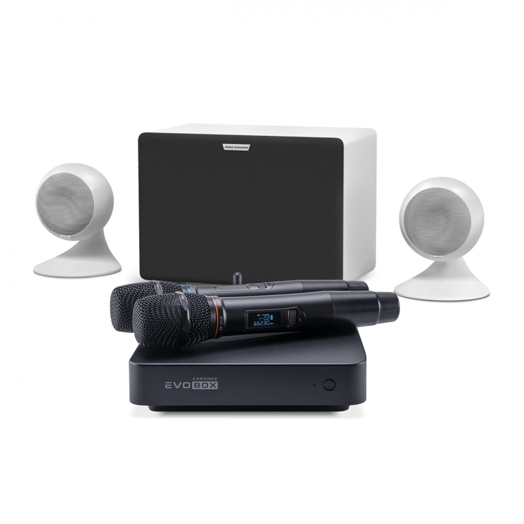 караоке-комплект EVOBOX Classic + EvoSound Sphere 2.1 в Кингисеппе