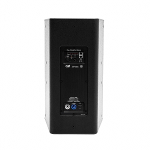 Активная акустическая система AST-310A в Кингисеппе