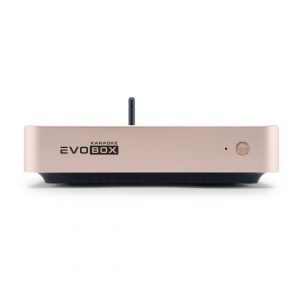 EVOBOX Plus караоке-система для дома в Кингисеппе