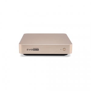 EVOBOX с микрофонами в Кингисеппе