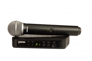 SHURE BLX24E/PG58 M17 вокальная радиосистема в Кингисеппе